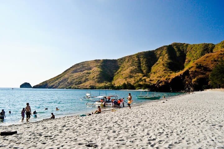Anawangin Cove: Pine-Lined Beach Camping & Day Trip from San Antonio