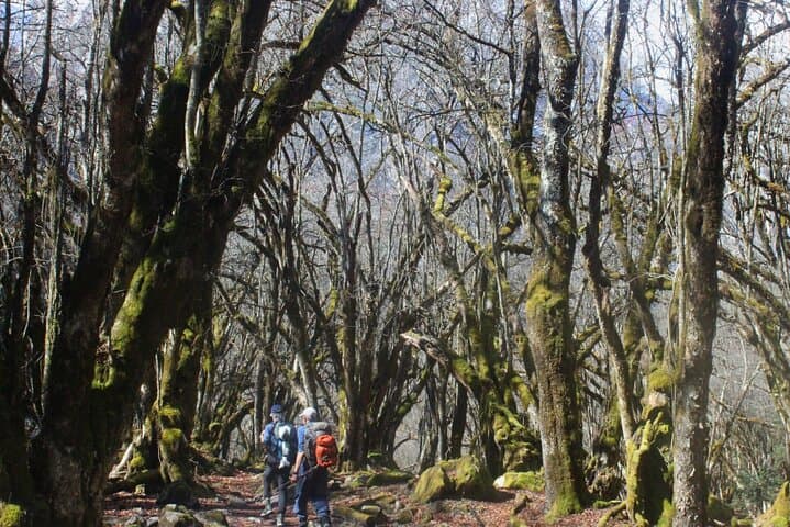 Manaslu Circuit Trek: 16-Day Loop Over Larkya La to Tatopani Hot Springs photo 5