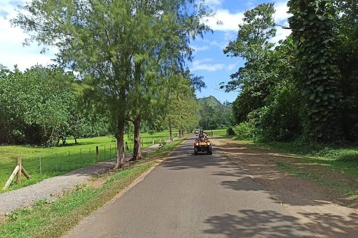 Moorea ATV Quad Tour — Belvedere, Pineapple Plantations & Magic Mountain photo 4