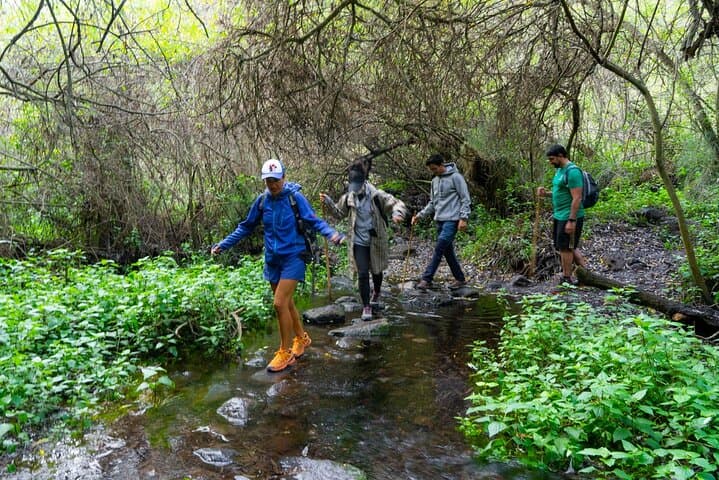 Exploring Caldera de Taburiente: Guided High-Altitude Walk on La Palma photo 3