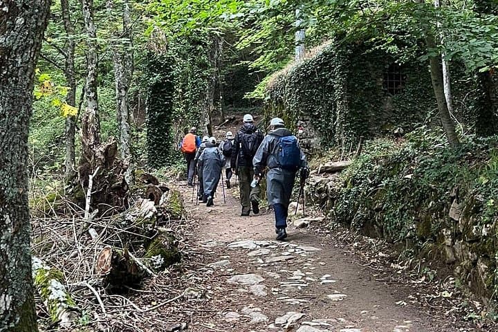 Assisi Day Tour & Eremo delle Carceri Hike — Basilica, Umbrian Lunch, Mount Subasio Views photo 5