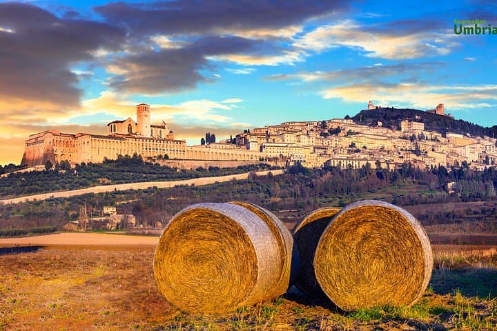 Assisi Day Tour & Eremo delle Carceri Hike — Basilica, Umbrian Lunch, Mount Subasio Views photo 6