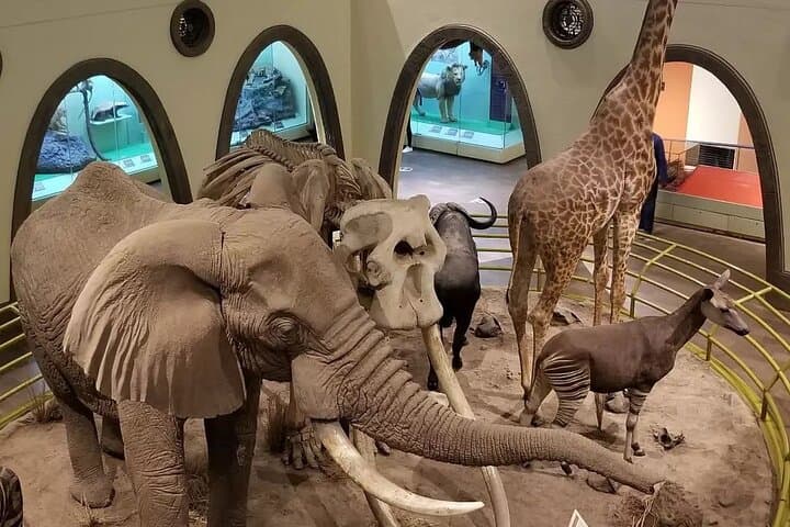 Discover Nairobi’s Wildlife and Heritage: Museum, Giraffe Centre & National Park Adventure photo 1