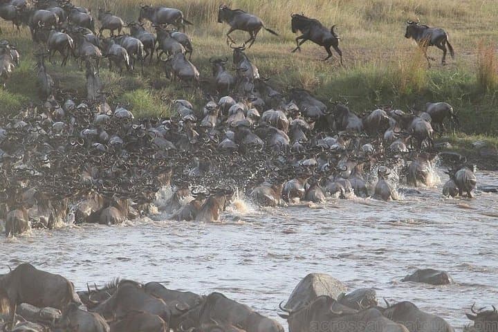 11-Day Kenya Safari: Samburu, Aberdare & Maasai Mara Adventure photo 4