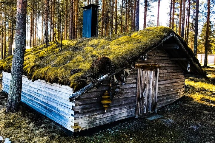 Meet Lapland's Reindeer: Summer Farm Experience Near Rovaniemi photo 3