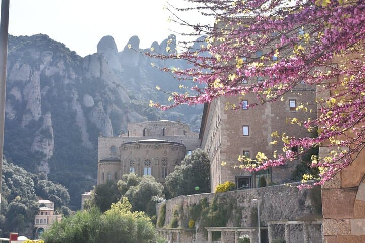 Montserrat Sant Jeroni Hike: From Monastery to Peak (Day Trip from Barcelona) photo 4