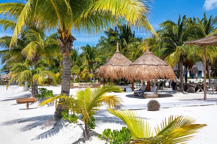 Holbox Island Boat & Golf Buggy Day Trip — Isla Pasion, Punta Mosquito & Eco-Resort Lunch photo 3