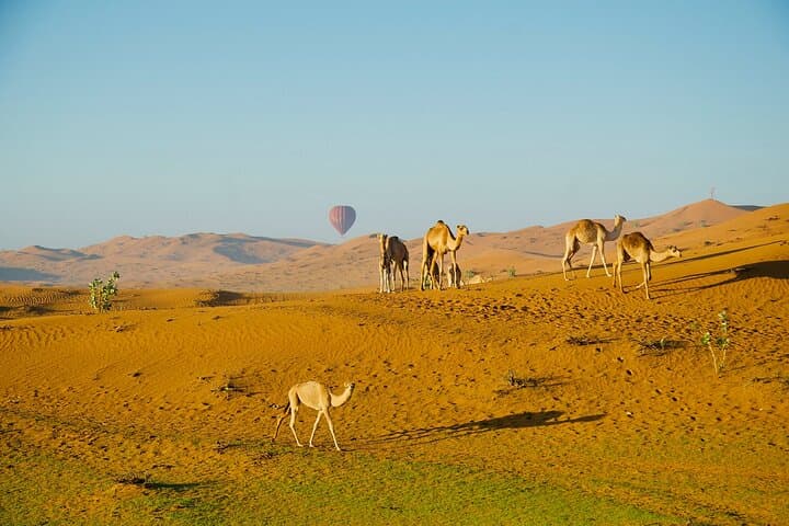 Sunrise Hot Air Balloon Over Ras al Khaimah Desert: A Dawn Flight Guide photo 4