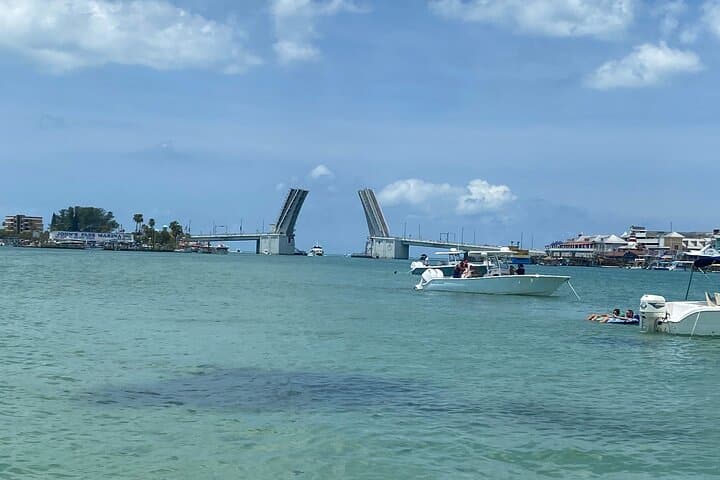 Madeira Beach & Shell Key: Half‑Day Private Dolphin and Sandbar Boat Tour photo 4