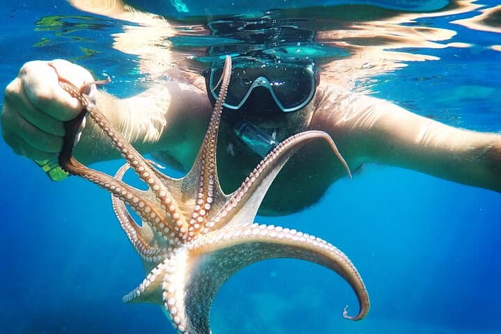 Private Hvar Beach Hopping & Chilling Out: Pakleni Islands Speedboat Tour photo 4