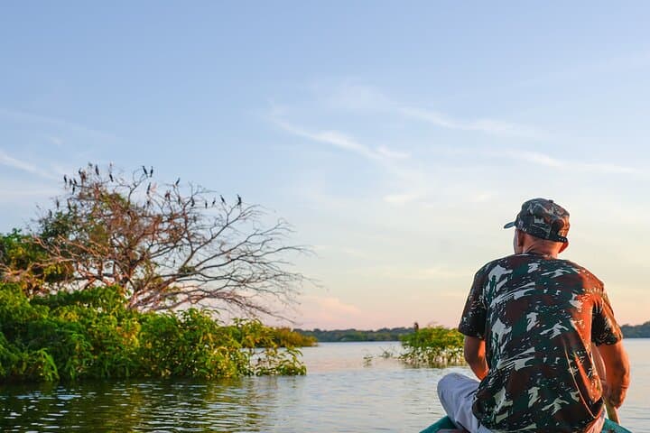 Into the Amazon Jungle: 5-Day Tapiri Floating Lodge Expedition from Manaus