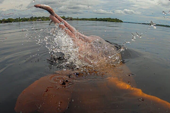 Into the Amazon: 5-Day Tapiri Lodge Adventure in the Anavilhanas
