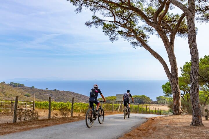 E‑bike Wine Tasting at Tenuta delle Ripalte — Monte Calamita E‑MTB Tour photo 4
