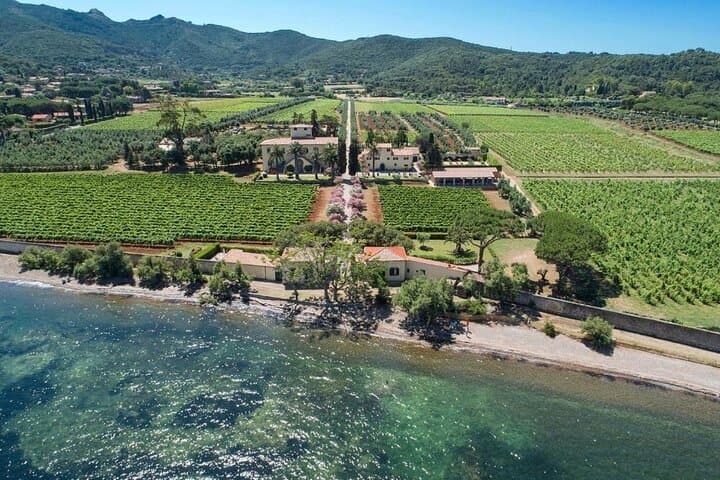 E‑Bike Wine Tour at Tenuta La Chiusa — 3‑Hour Elba Island Ride & Tasting