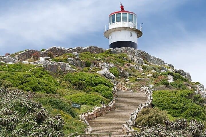 Cape Town Day Tour: Table Mountain, Cape Point & Boulders Penguin Colony (Private) photo 3