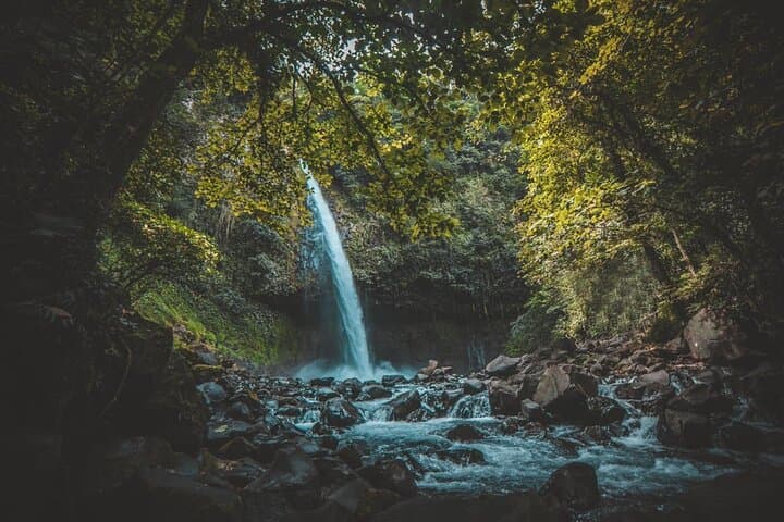 Arenal Volcano Hike, Hanging Bridges & La Fortuna Waterfall: Full-Day Adventure photo 5