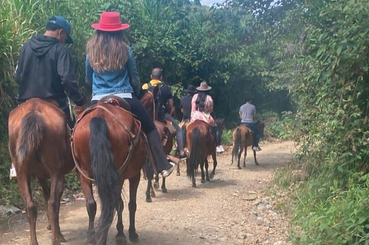 Medellín Night Skyline Horseback Ride, Firecamp & Forest Cabin Stay photo 3