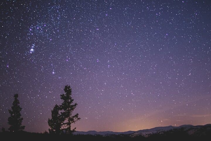 Kodachadri Forest Stargazing: Milky Way Nights in the Western Ghats photo 2