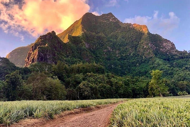 Half-Day Guided Hike to Col des 3 Cocotiers — Opunohu Valley, Moorea photo 2