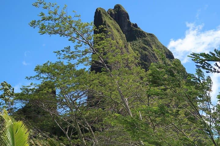 Half-Day Guided Hike to Col des 3 Cocotiers — Opunohu Valley, Moorea photo 6