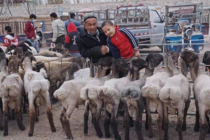 17-Day Silk Road Guided Tour in China — Xi'an to Kashgar Cultural Journey