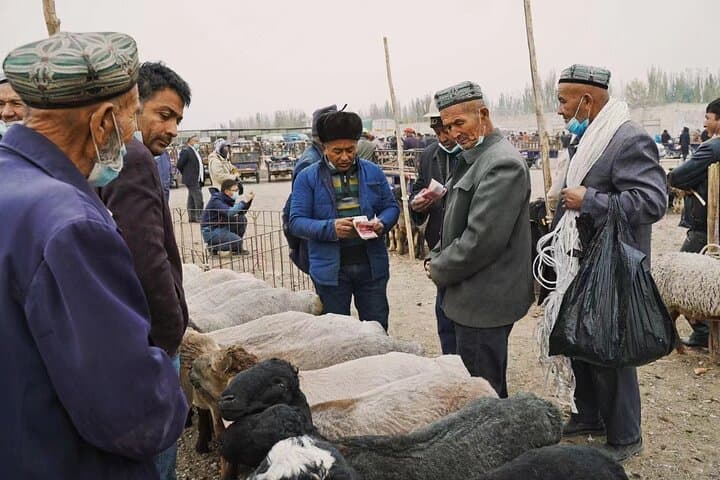 17-Day Silk Road Guided Tour in China — Xi'an to Kashgar Cultural Journey photo 4