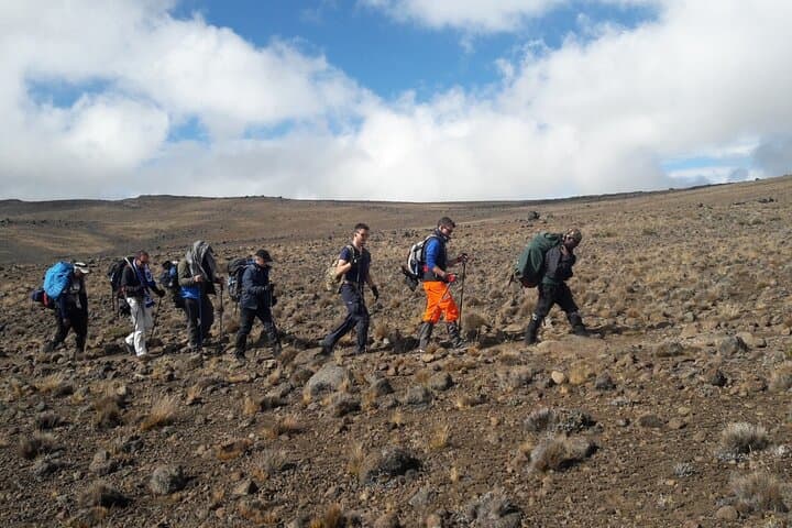 Conquer Kilimanjaro’s Lemosho Route: A 7-Day Trek Through Untouched Wilderness photo 3