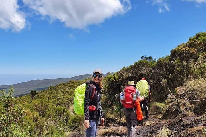 Lemosho Route Kilimanjaro: 9-Day Guided Climb to Uhuru Peak photo 3