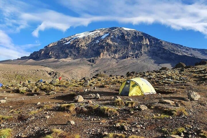 Lemosho Route Kilimanjaro: 9-Day Guided Climb to Uhuru Peak photo 4