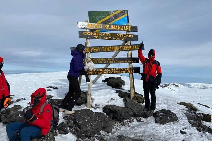 Lemosho Route Kilimanjaro: 9-Day Guided Climb to Uhuru Peak photo 5