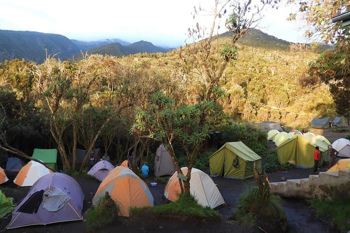 Conquer Kilimanjaro’s Lemosho Route: A 7-Day Trek Through Untouched Wilderness photo 5