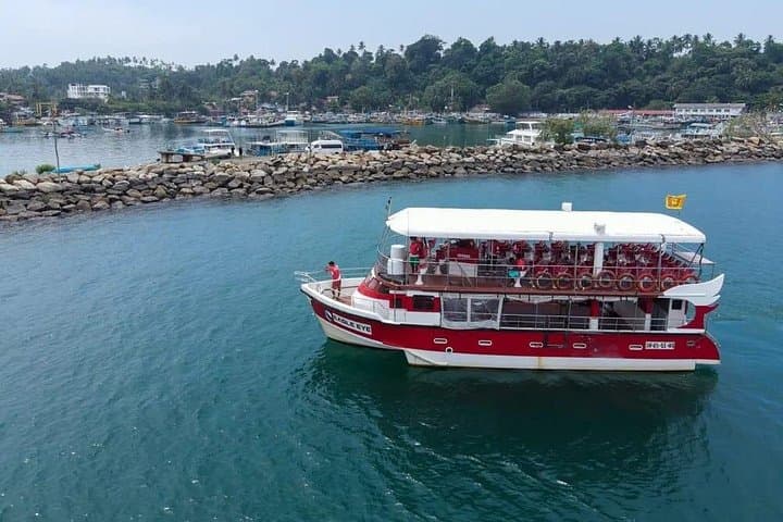 Mirissa Whale Watching Cruise: See Blue and Sperm Whales Off Sri Lanka photo 4