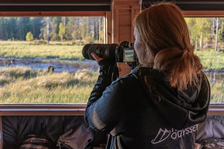 Bear and Arctic Animals 2-Day Wilderness Trip from Rovaniemi