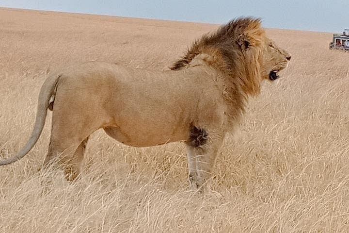 Private 6-Day Safari: Amboseli, Lake Nakuru & Masai Mara Highlights photo 1