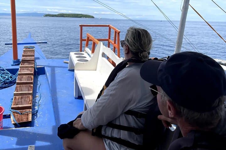 Whale Shark Encounter, Sumilon Island Snorkel & Tumalog Falls Day Trip from Cebu photo 3