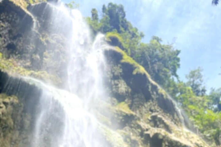 Whale Shark Encounter, Sumilon Island Snorkel & Tumalog Falls Day Trip from Cebu photo 2