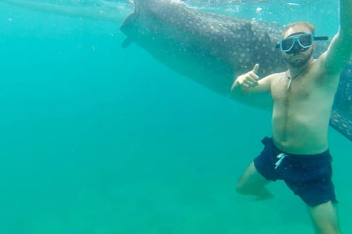 Whale Shark Encounter, Sumilon Island Snorkel & Tumalog Falls Day Trip from Cebu