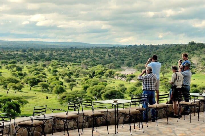 Tarangire Day Safari from Arusha — Budget Wildlife Drive & Elephant Herds photo 4