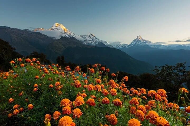 Pokhara to Annapurna Foothills Day Hike: Australian Camp & Dhampus photo 5