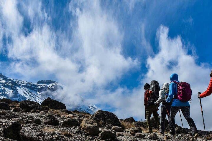 Kilimanjaro Day Hike: Marangu Gate to Mandara Hut & Maundi Crater photo 1