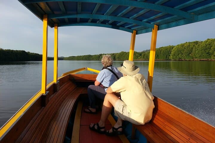 Kampong Ayer Boat Cruise: Proboscis Monkeys, Fireflies & Water Village Sunset Tour photo 2