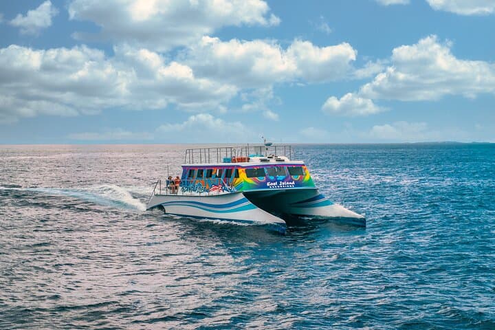 Full-Day Vieques Catamaran: Beaches & Snorkeling from Fajardo photo 4