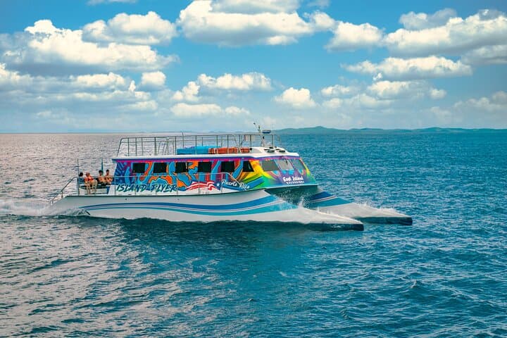Full-Day Vieques Catamaran: Beaches & Snorkeling from Fajardo photo 5