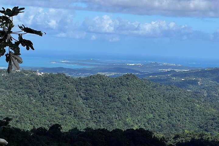 Eastern Puerto Rico Private Guided Adventure: El Yunque, Hidden Beaches & Rivers