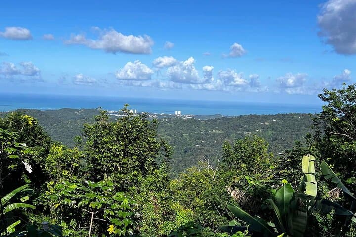 Eastern Puerto Rico Private Guided Adventure: El Yunque, Hidden Beaches & Rivers photo 2