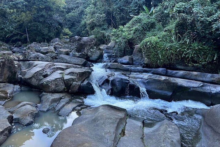 Eastern Puerto Rico Private Guided Adventure: El Yunque, Hidden Beaches & Rivers photo 3