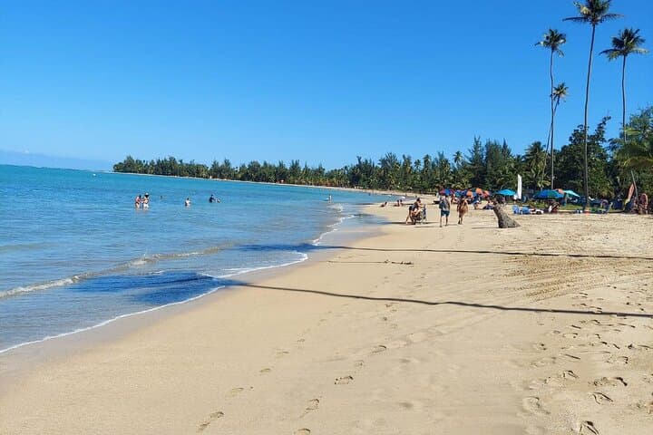 Eastern Puerto Rico Private Guided Adventure: El Yunque, Hidden Beaches & Rivers photo 5