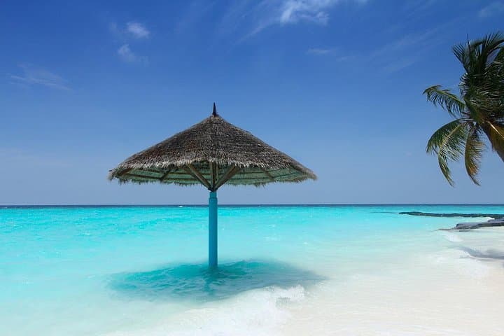 Cartagena 5-Island Snorkel & Bioluminescent Plankton Tour with Lunch photo 4