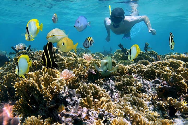 Cartagena 5-Island Snorkel & Bioluminescent Plankton Tour with Lunch photo 2