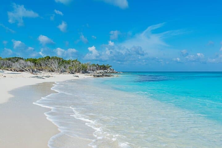 Iguana Island & Mangrove Cay Tour — Little Water Cay Rock Iguanas and Coastal Wildlife in Providenciales photo 5